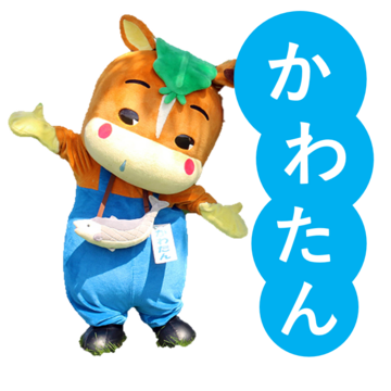 ［浦河町］かわたん